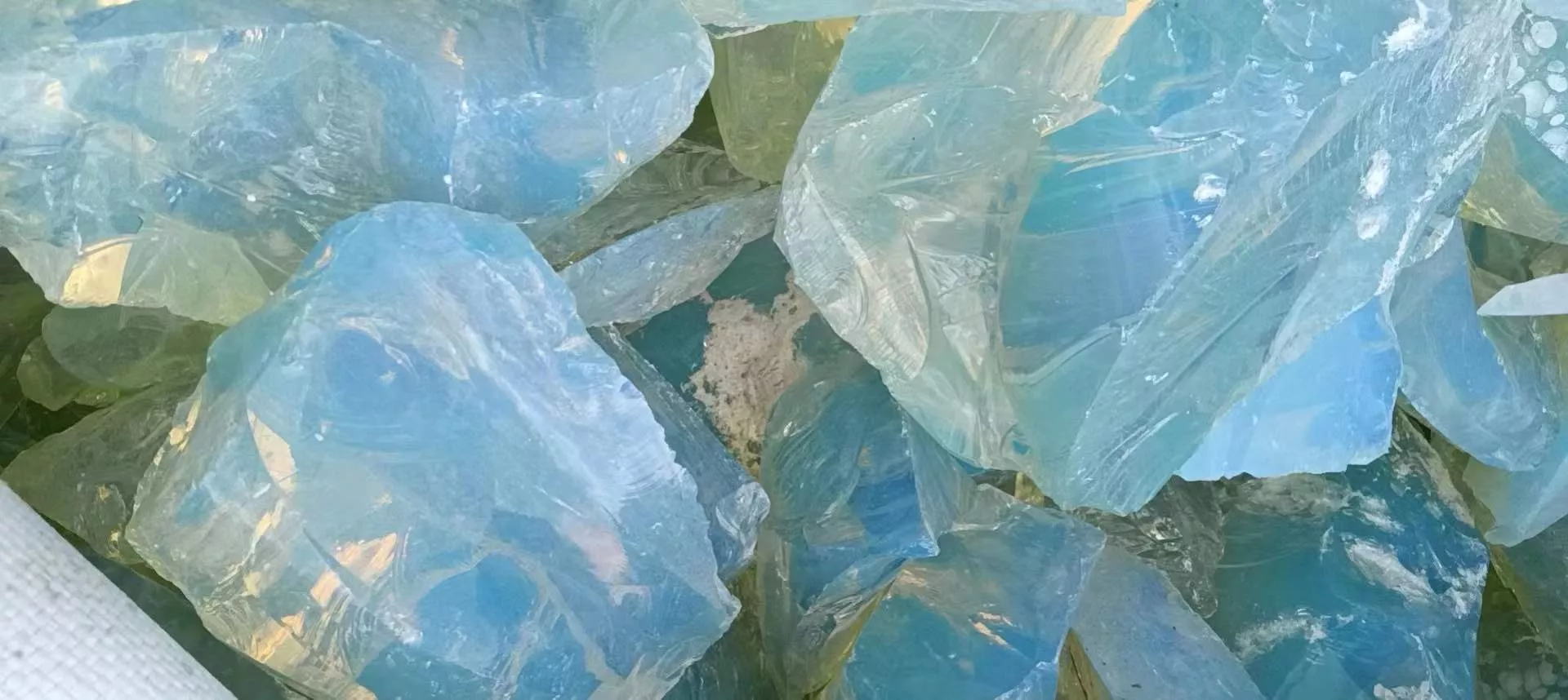 天然  魅力